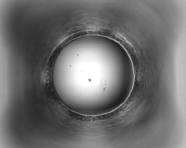 X0000096721208200802051435