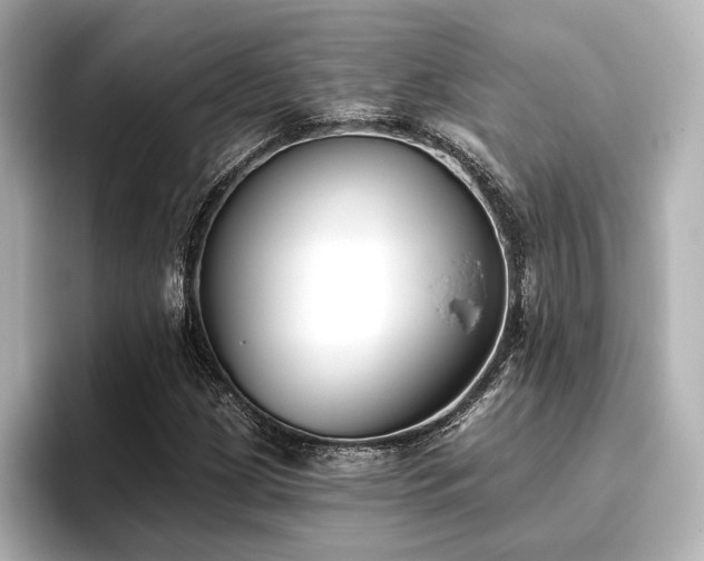 X0000096721209200802051436