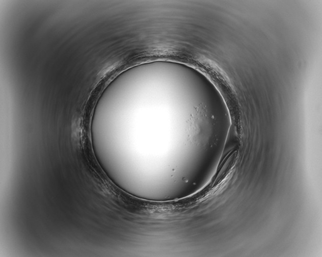 X0000096721210200802051436