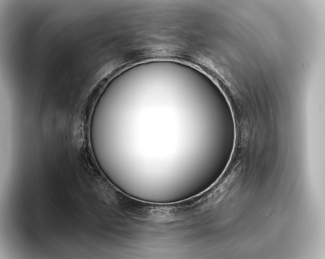 X0000096721211200802051436