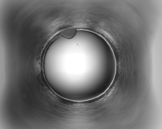 X0000096721212200802051436