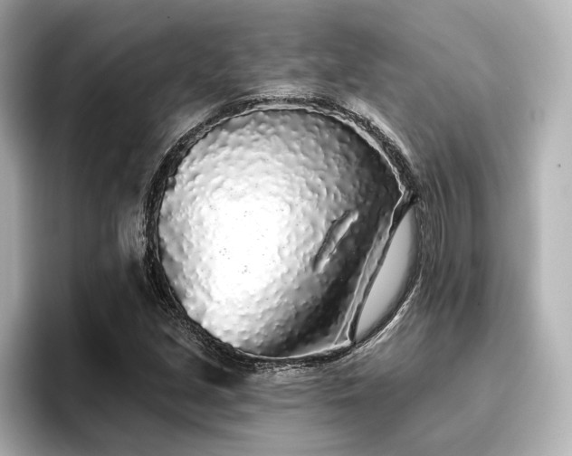 X0000096721213200802051436