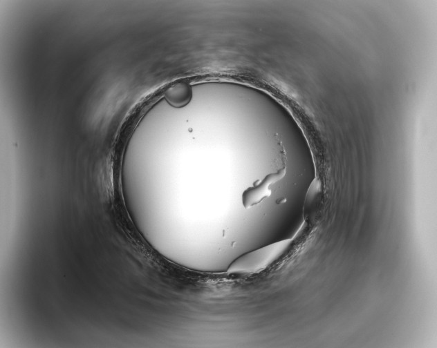 X0000096721214200802051436