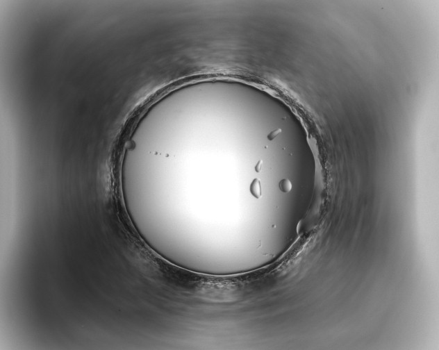 X0000096721215200802051436