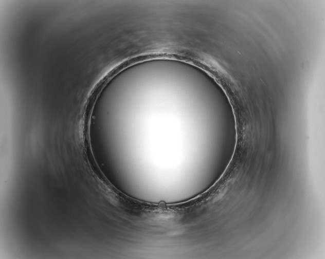 X0000096721216200802051436