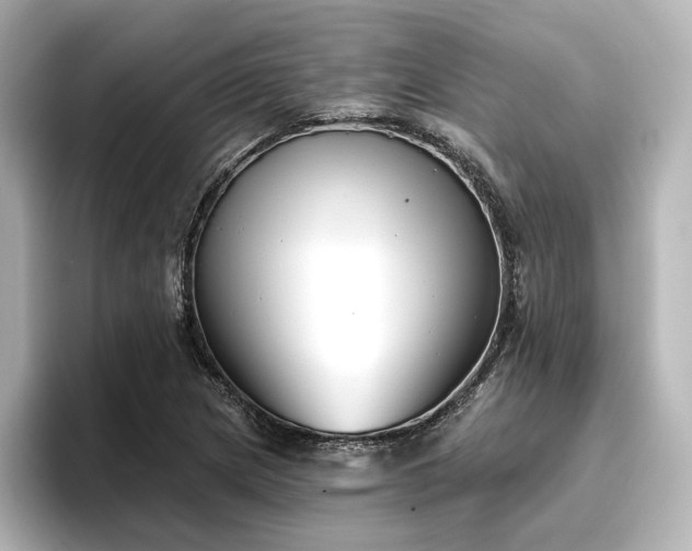 X0000096721217200802051436