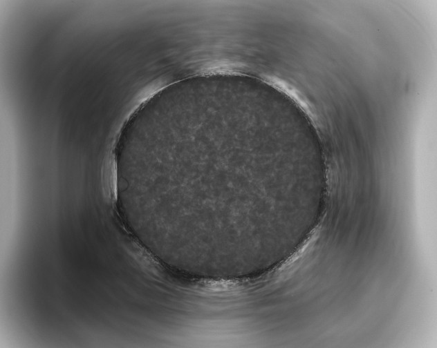 X0000096721219200802051436