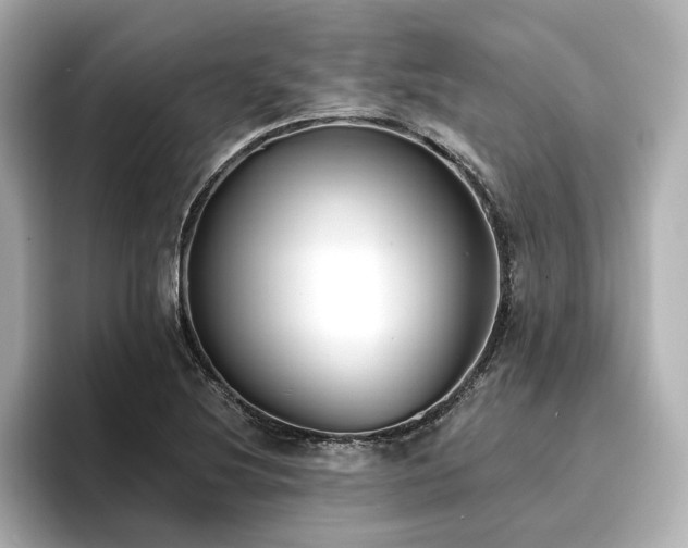 X0000096721220200802051436