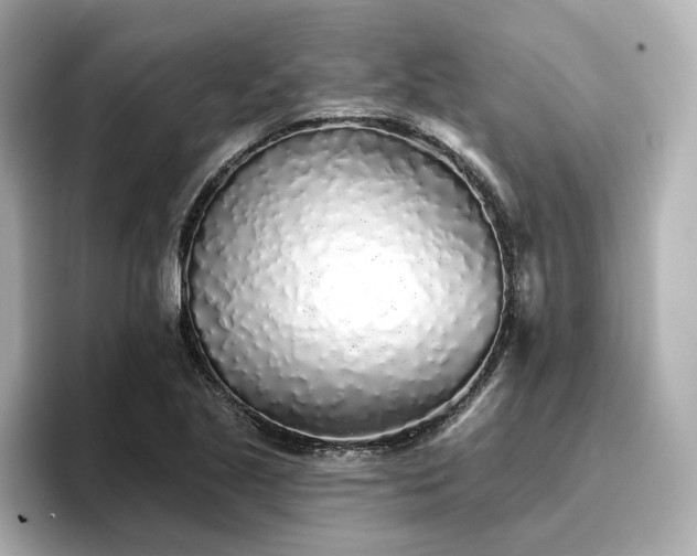 X0000096721221200802051436