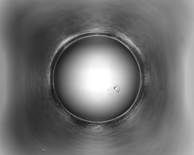 X0000096721222200802051436