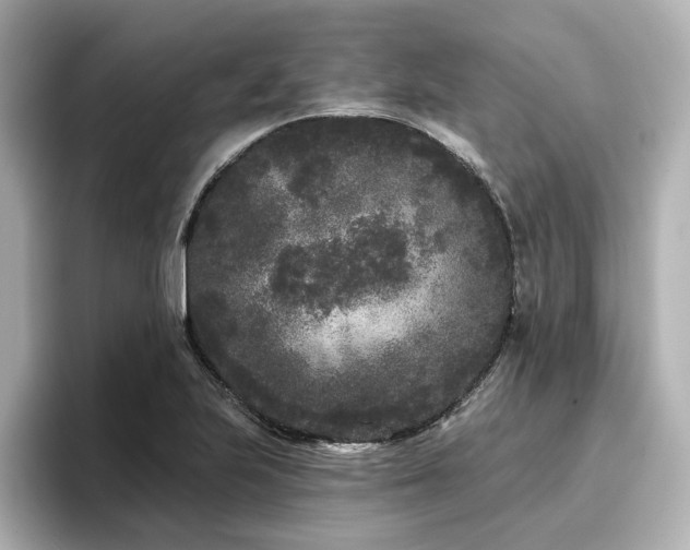X0000096721223200802051436
