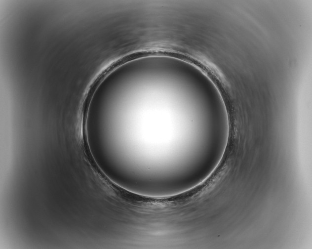 X0000096721224200802051436