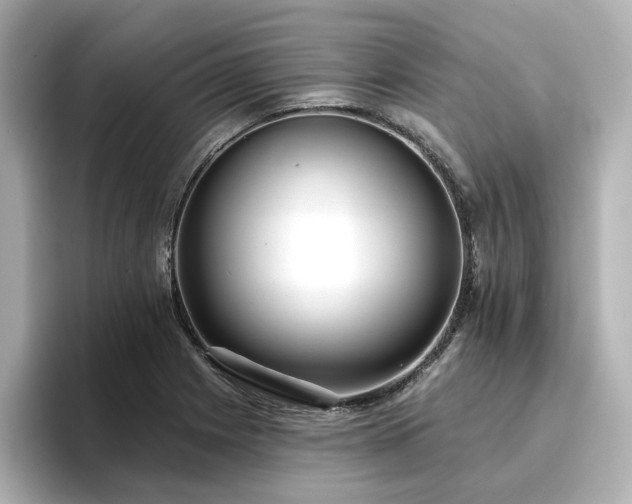 X0000096721225200802051436
