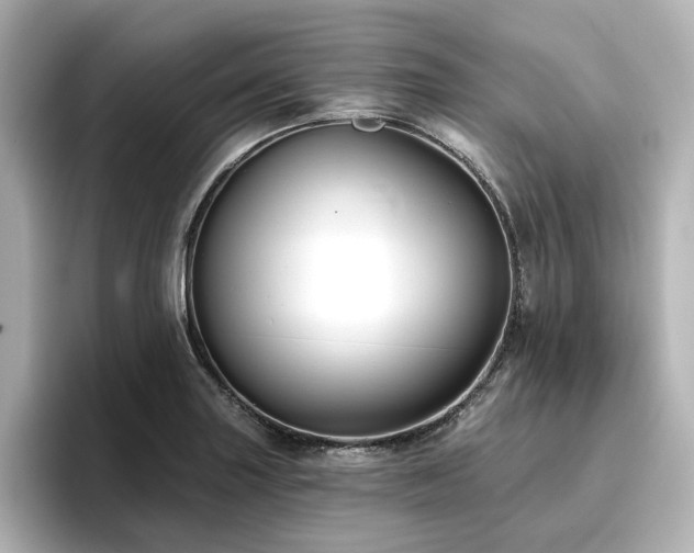 X0000096721227200802051436