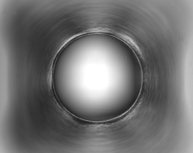 X0000096721228200802051436
