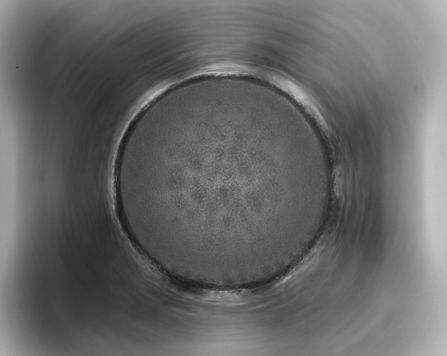 X0000096721229200802051436