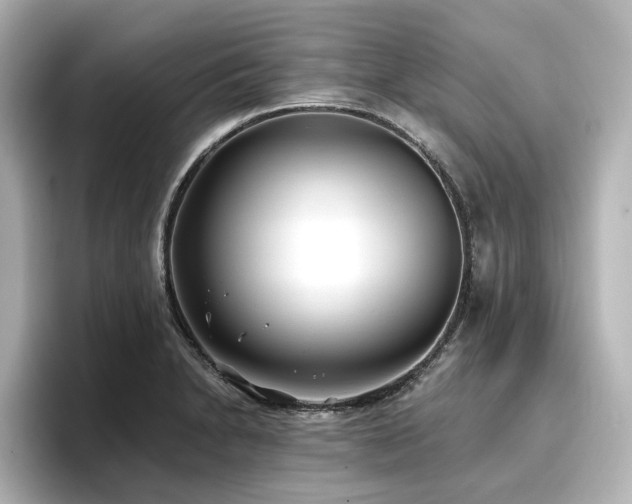 X0000096721230200802051436