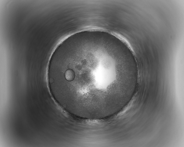 X0000096721231200802051436