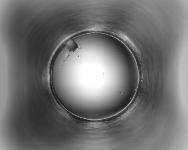 X0000096721232200802051436