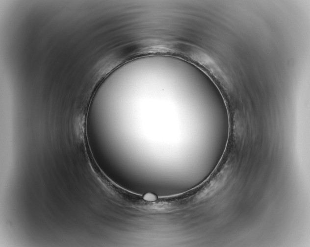 X0000096721233200802051436