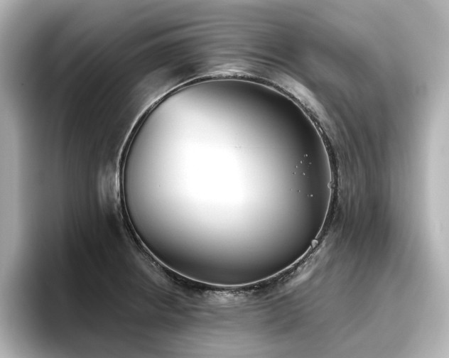 X0000096721234200802051436