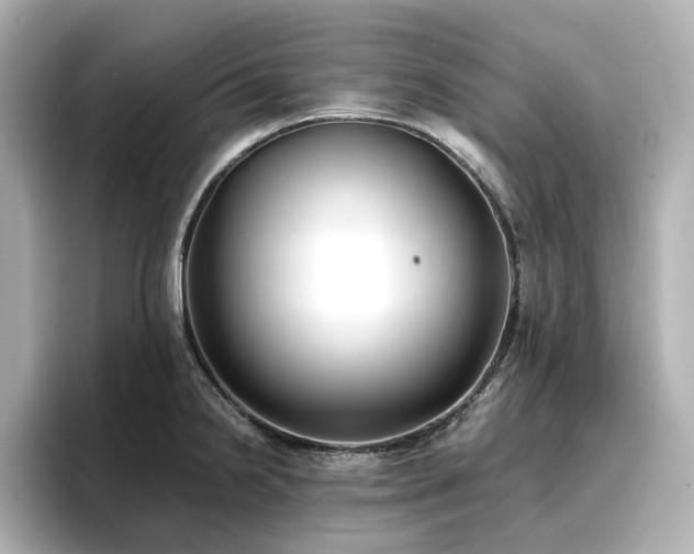 X0000096721238200802051436
