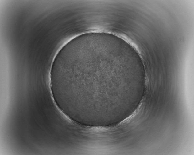 X0000096721239200802051436