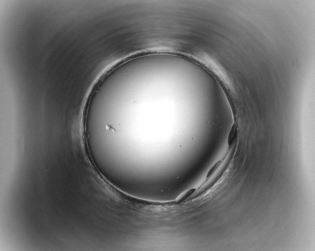 X0000096721240200802051436