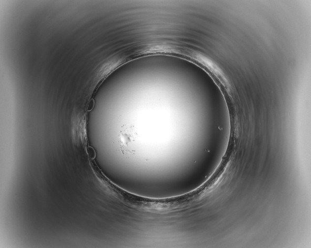 X0000096721241200802051436