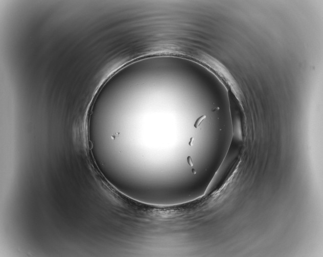 X0000096721242200802051436