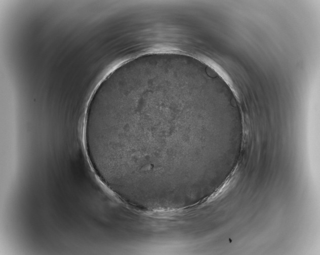 X0000096721245200802051436