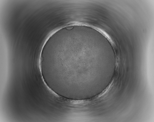 X0000096721247200802051436