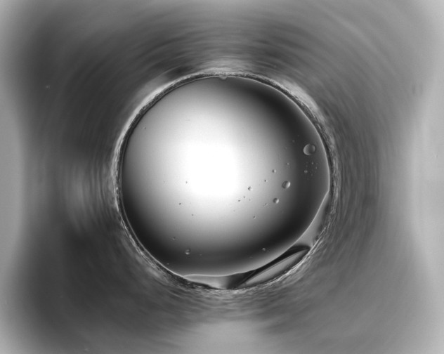 X0000096721248200802051436
