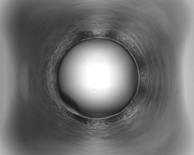 X0000096721249200802051435