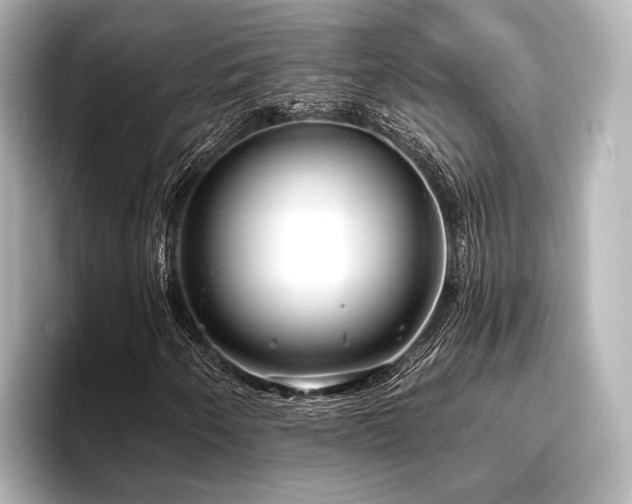 X0000096721250200802051435