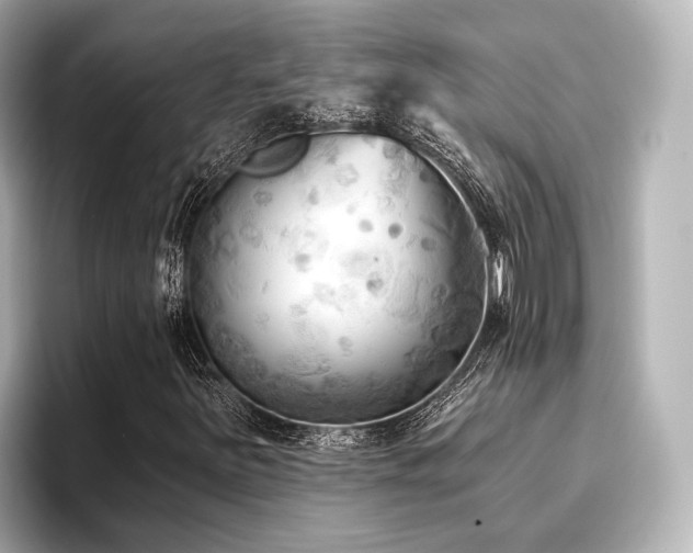 X0000096721251200802051435
