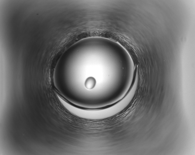 X0000096721252200802051435