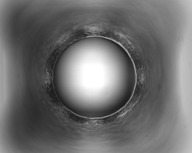X0000096721253200802051435