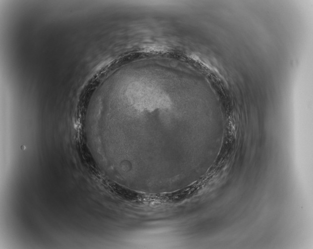 X0000096721254200802051435