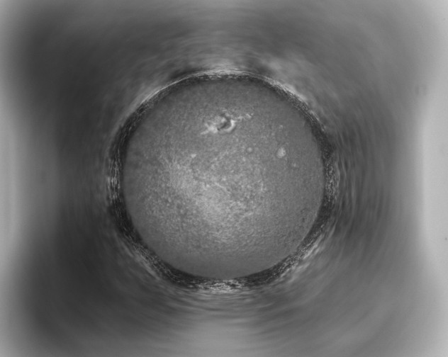 X0000096721255200802051435