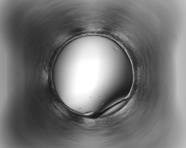 X0000096721257200802051435