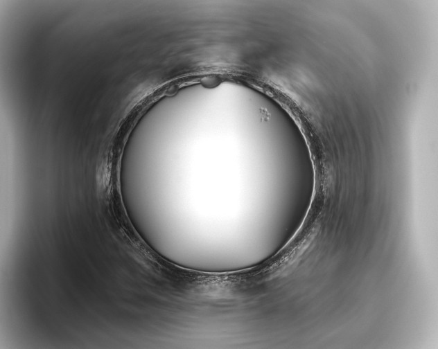 X0000096721259200802051435