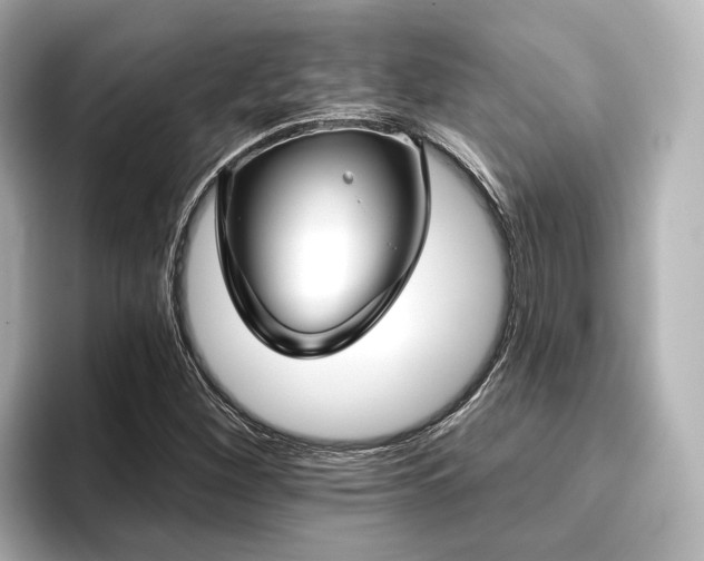 X0000096721260200802051435