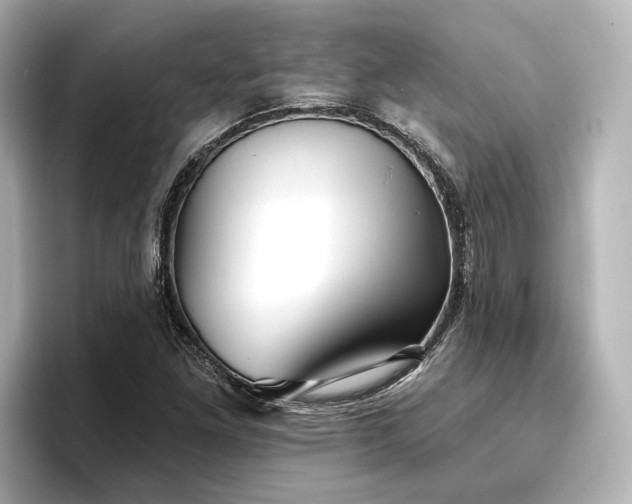 X0000096721261200802051435
