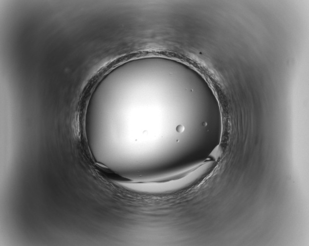 X0000096721262200802051435