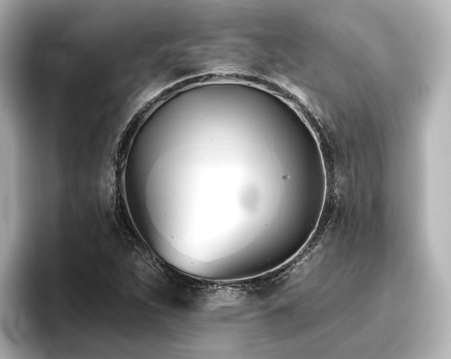 X0000096721263200802051435