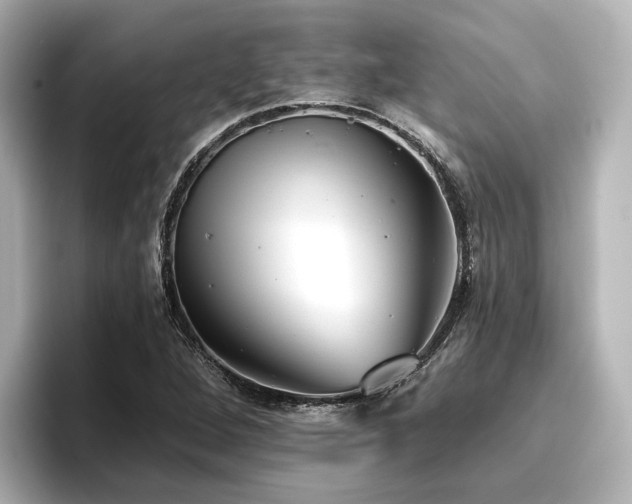 X0000096721264200802051435