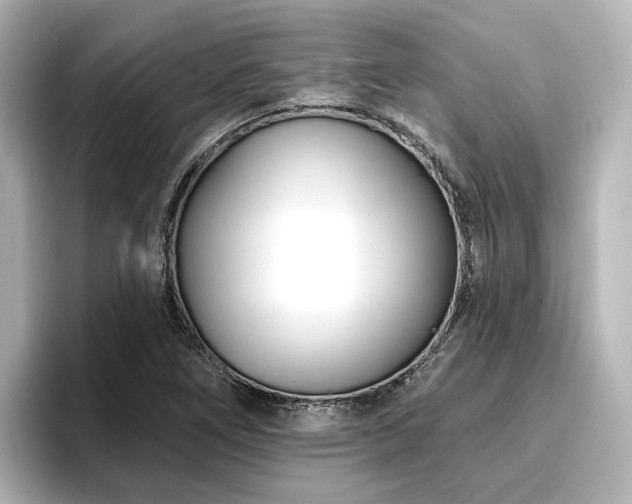X0000096721266200802051435