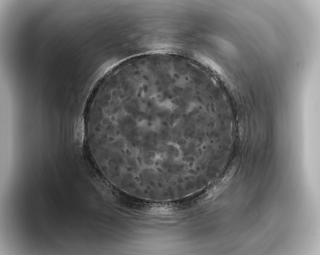 X0000096721267200802051435