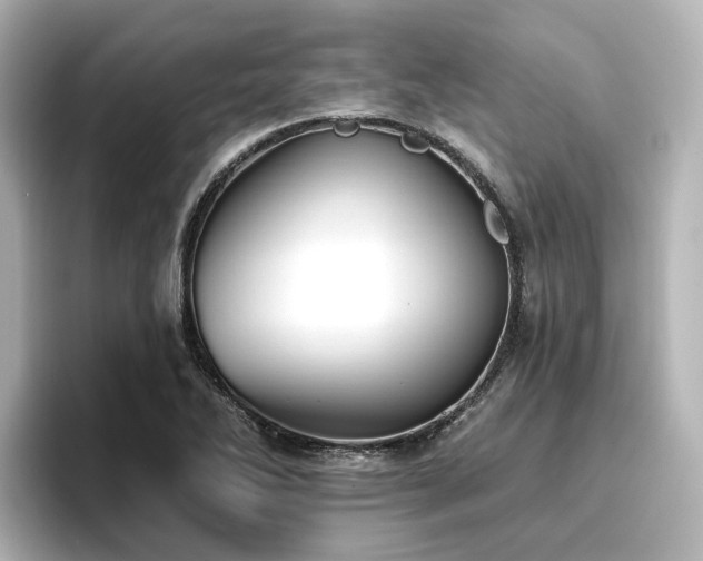 X0000096721270200802051435